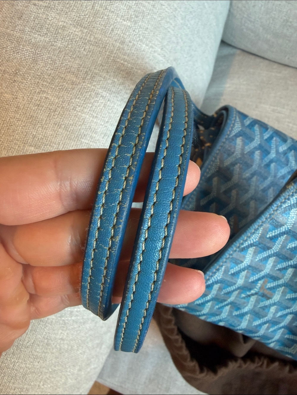 Goyard Saint Louis Tote PM - Sky Blue - Picture 10 of 10